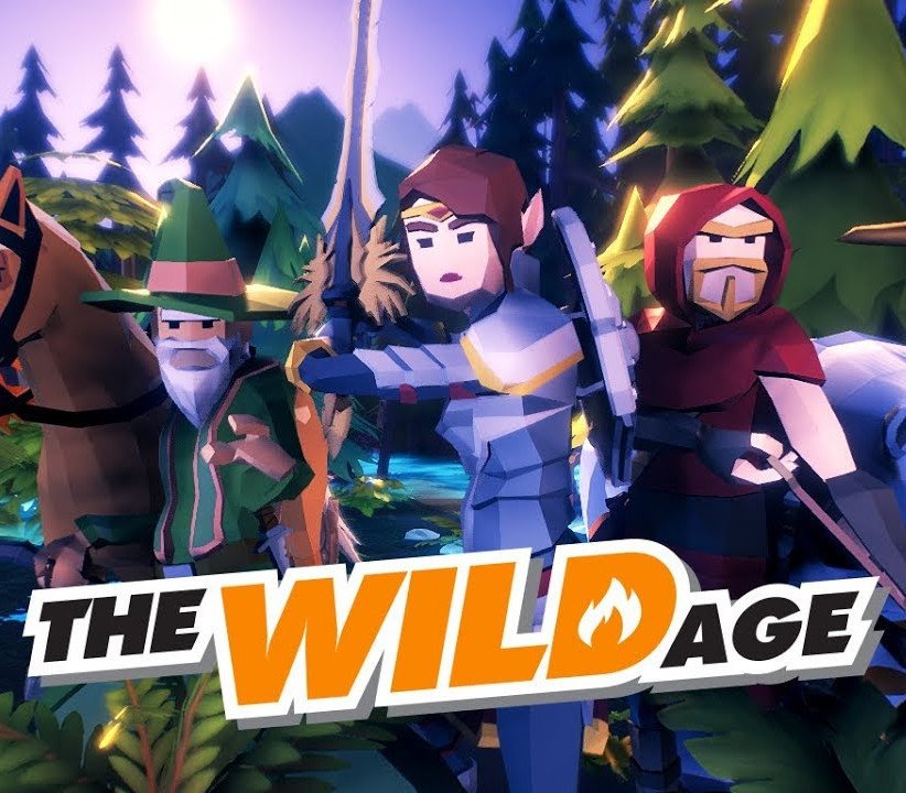 The Wild Age 