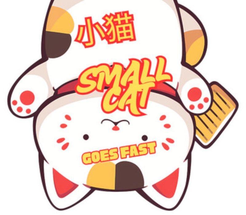 Small Cat Goes Fast