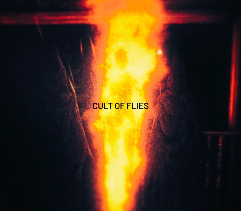 CULT OF FLIES