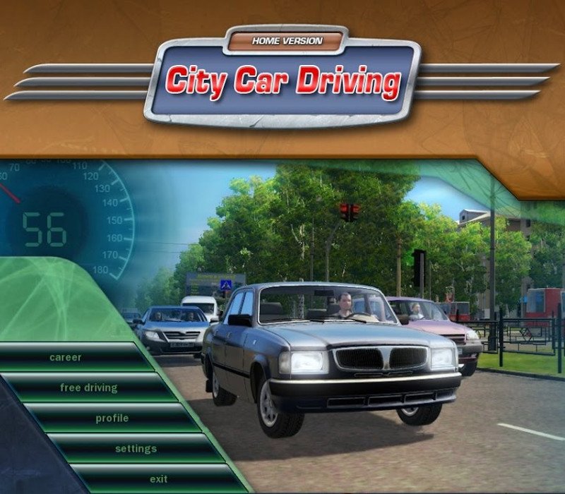 City Car Driving