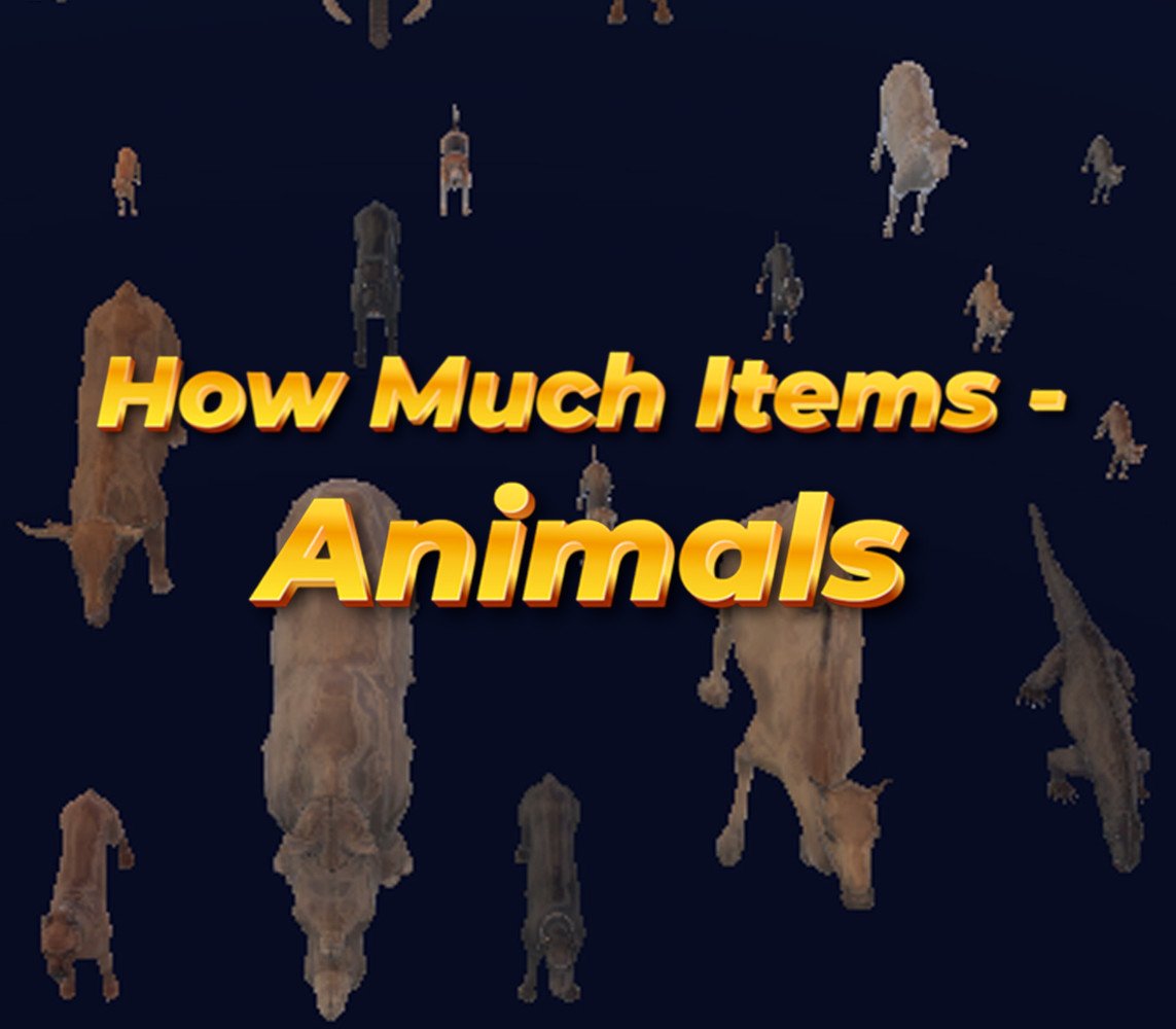 How Much Items: Animals 