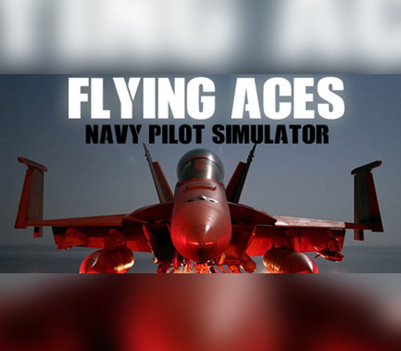 Flying Aces - Navy Pilot Simulator 