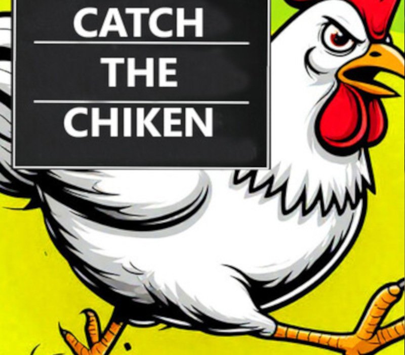 Catch the Chiken 
