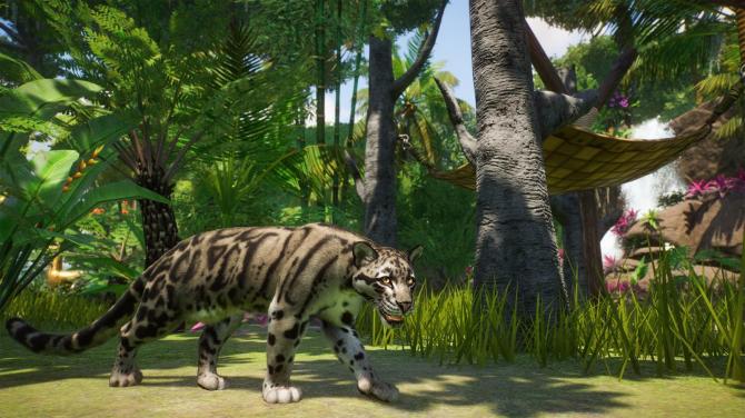 Planet Zoo: Deluxe Edition 