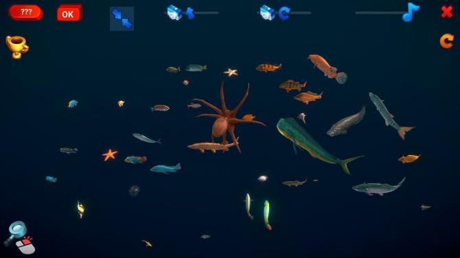 How Much Items - Fishes 