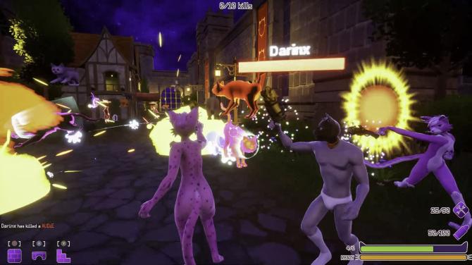 Catnight 