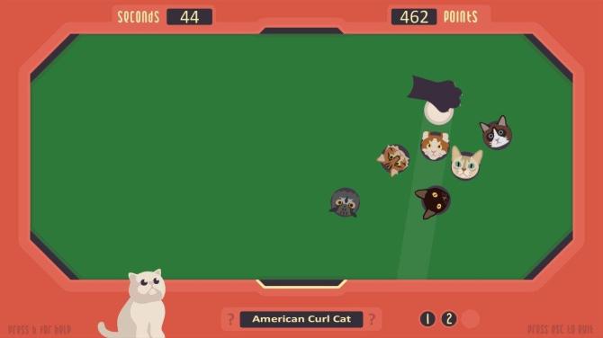 The Cat Games 