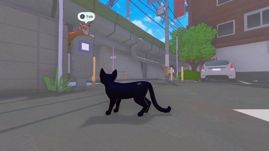 Little Kitty, Big City 