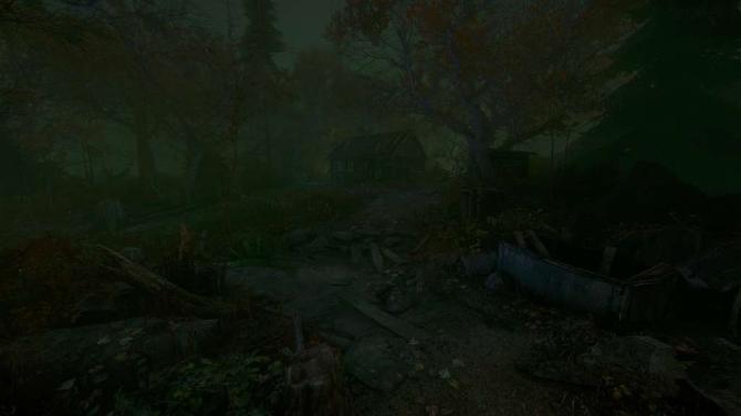 The Cursed Forest 