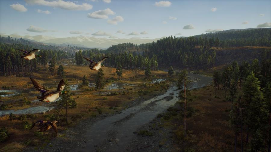 Way of the Hunter 
