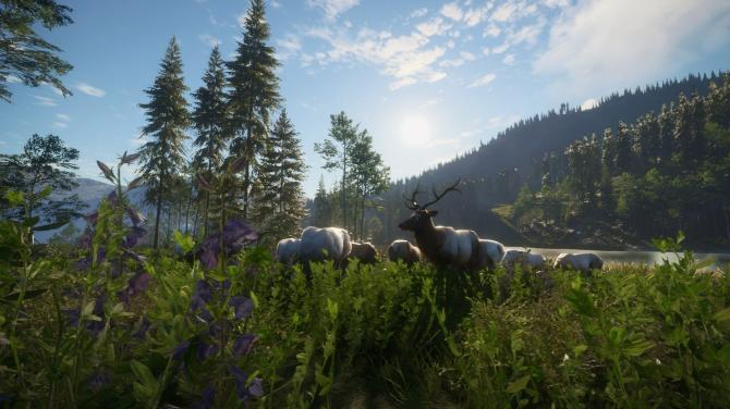 theHunter: Call of the Wild - Hunting Starter Pack Bundle 