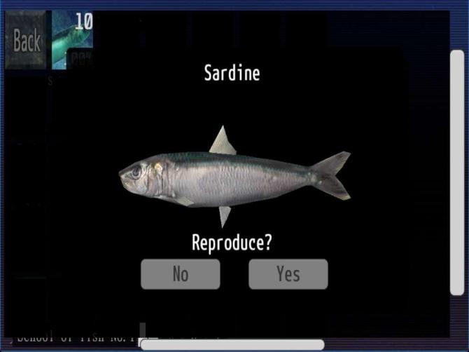 Ace of Seafood 