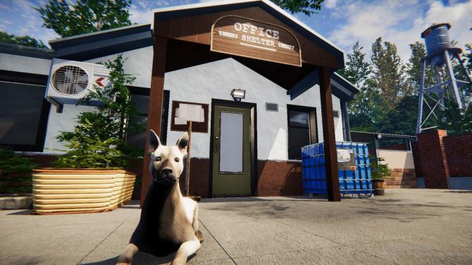 Animal Shelter 