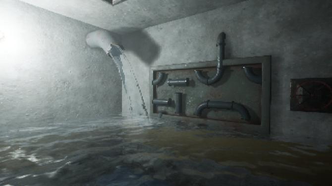 The Door in the Basement 