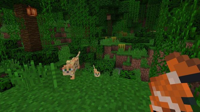 Minecraft 