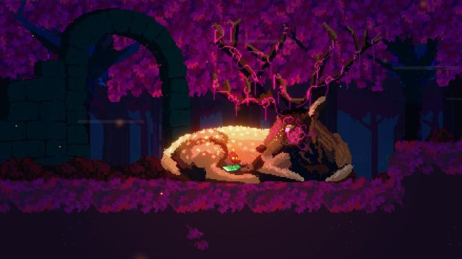 Koboo: The Tree Spirit 