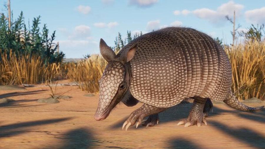 Planet Zoo Premium Edition 2023 