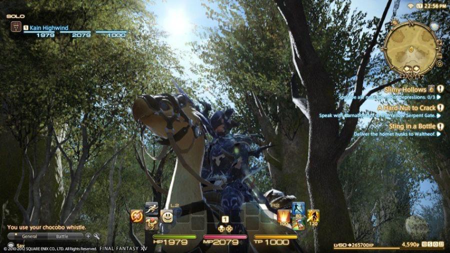 Final Fantasy XIV: A Realm Reborn Collector's Edition 