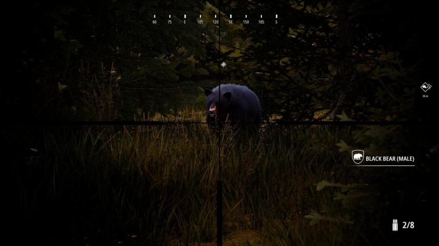 Hunting Simulator 2 Bear Hunter Edition 