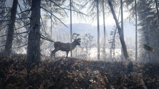 theHunter: Call of the Wild (2024) - Master Hunter Bundle 