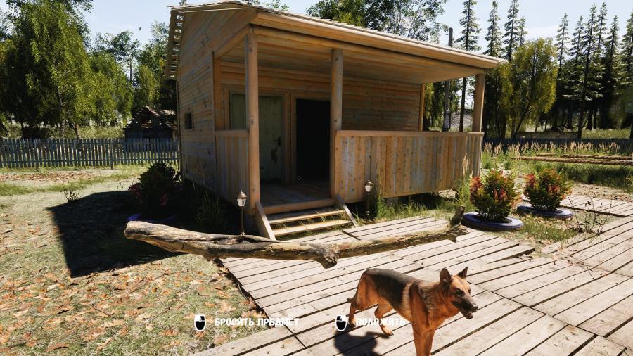 DACHA 
