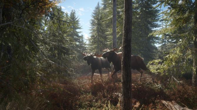 theHunter: Call of the Wild - Hunting Starter Pack Bundle 