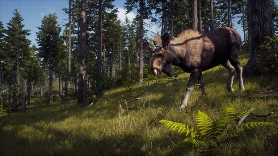 Way of the Hunter 