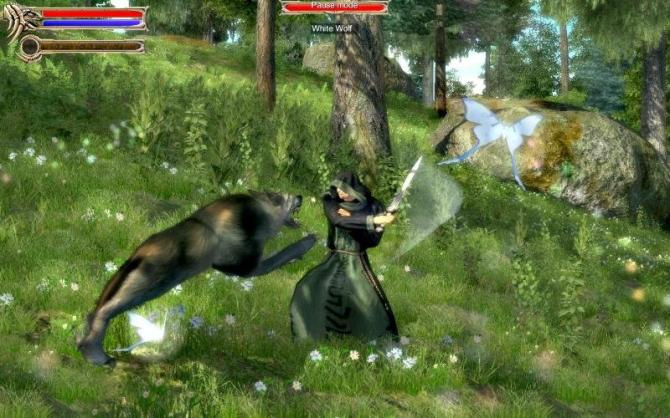 Two Worlds Epic Edition 
