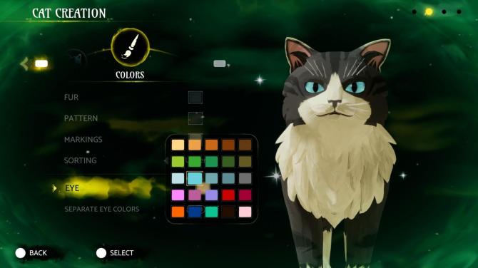 Warrior Cats: Clans of the Forest 