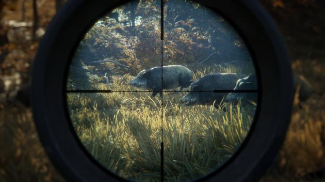 theHunter: Call of the Wild Silver Bundle 