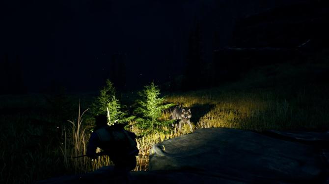 Open Country 