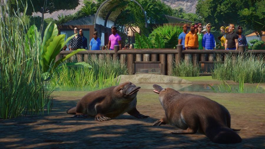 Planet Zoo: Deluxe Edition 