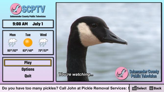 Salamander County Public Television 