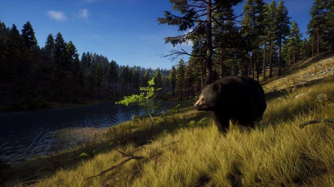Way of the Hunter 