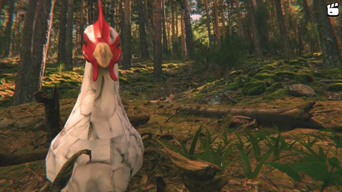 Catch the Chiken 