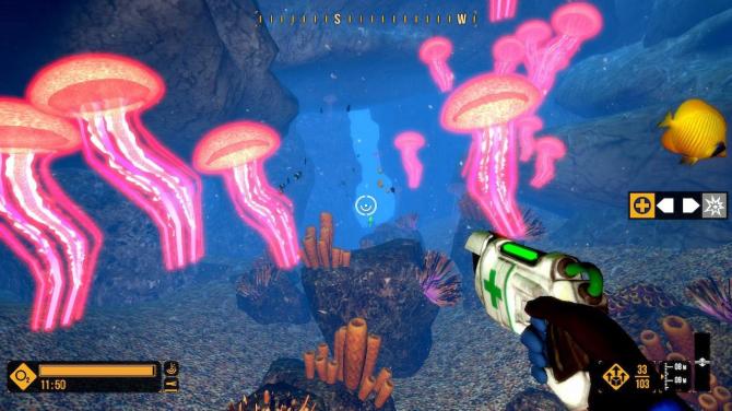 Deep Diving Adventures 