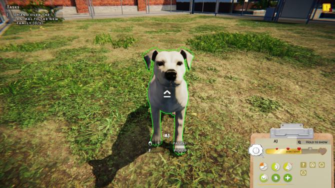 Animal Shelter 