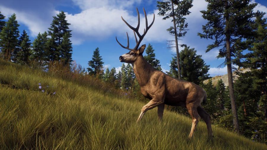 Way of the Hunter 