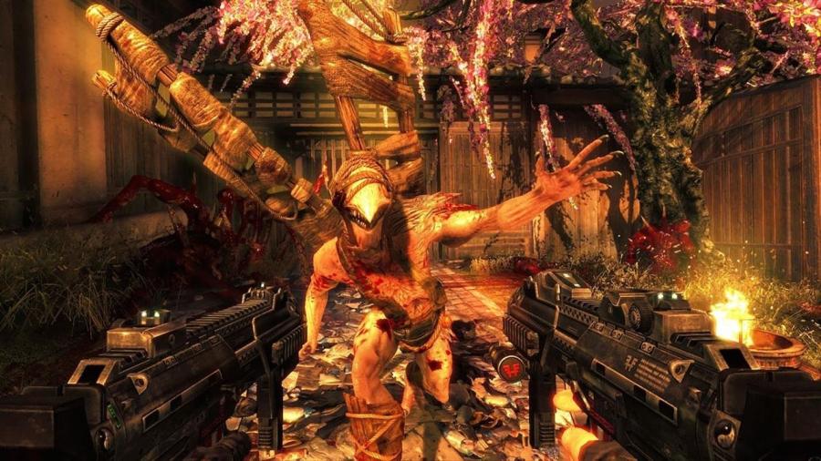 The Shadow Warrior Collection 