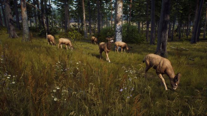 Way of the Hunter 