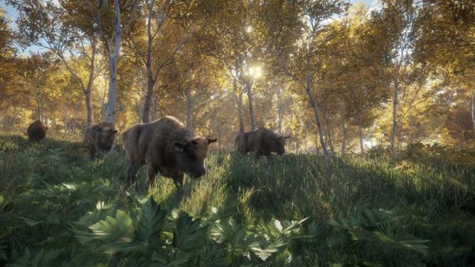 theHunter: Call of the Wild 