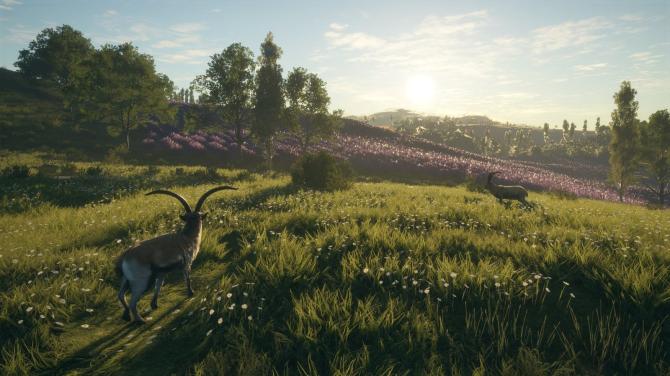theHunter: Call of the Wild Diamond Bundle 