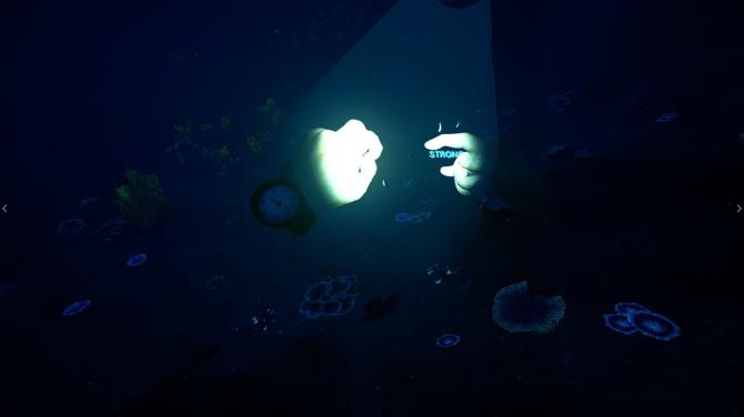 Bodies of Water VR 
