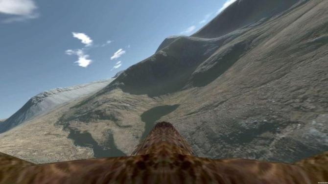 Aquila Bird Flight Simulator 