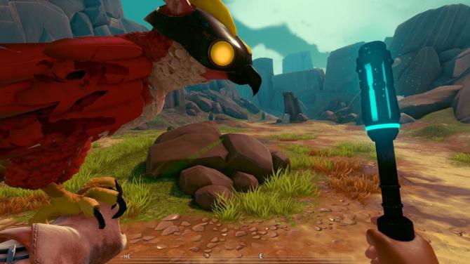 Falcon Age 