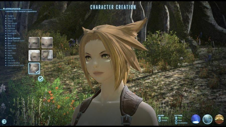 Final Fantasy XIV: A Realm Reborn Collector's Edition 