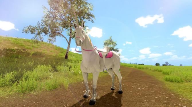 The Unicorn Princess 