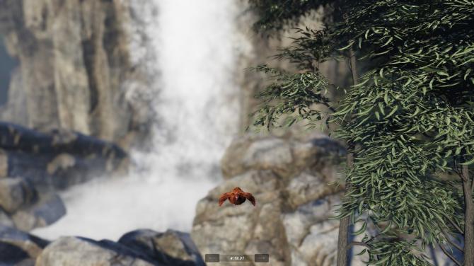 Unlucky Chicken 