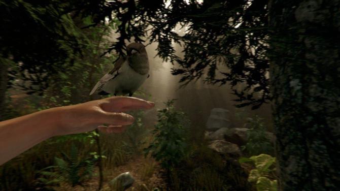 The Forest 