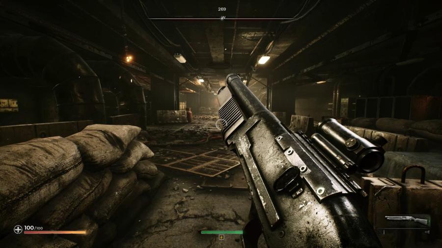 PIONER Deluxe Edition RoW 